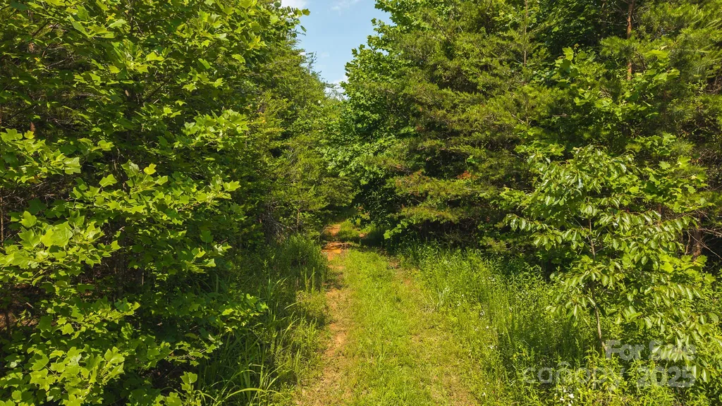 0 Old Vashti Road Taylorsville NC 28681