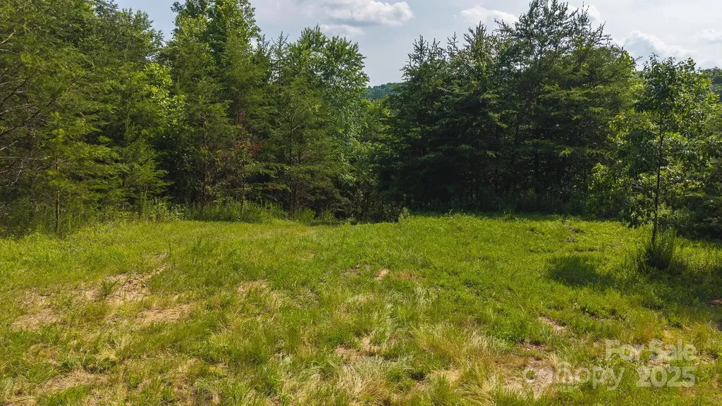 0 Old Vashti Road Taylorsville NC 28681