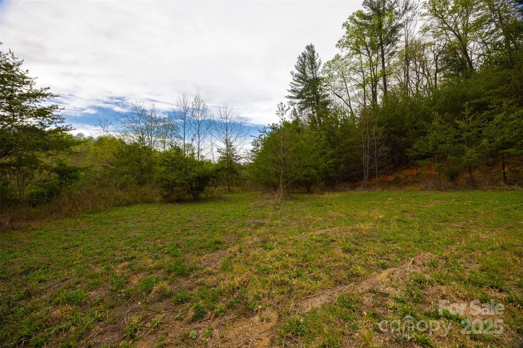 0 Old Vashti Road Taylorsville NC 28681