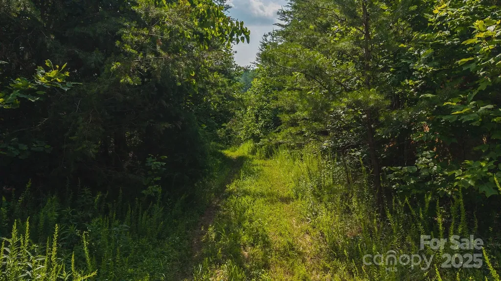 0 Old Vashti Road Taylorsville NC 28681