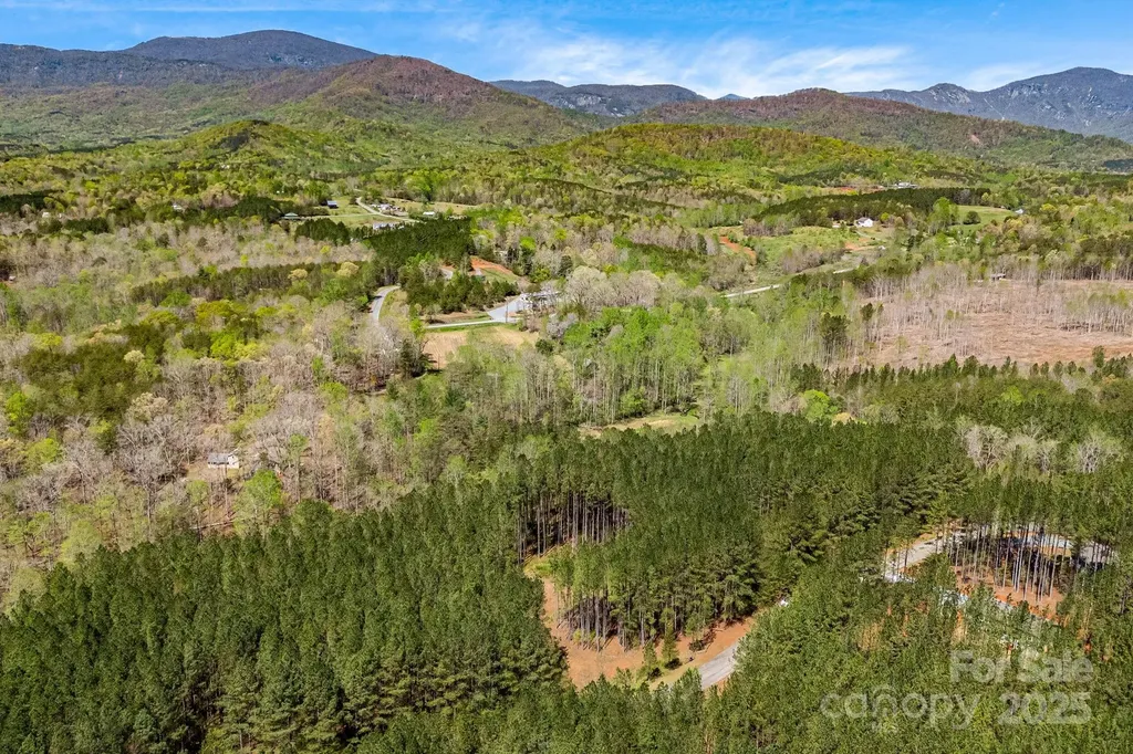 19 Sunset Drive Mill Spring NC 28756