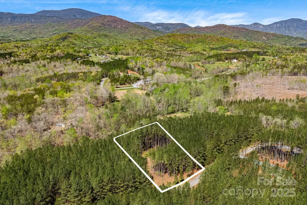 19 Sunset Drive Mill Spring NC 28756