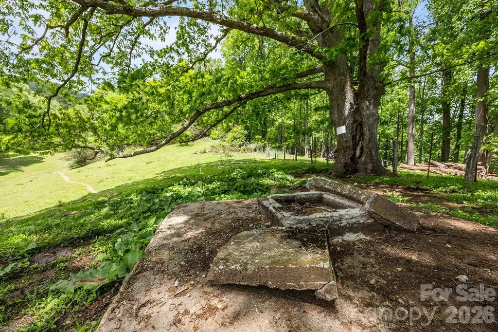 411 Big Sandy Mush Road Leicester NC 28748