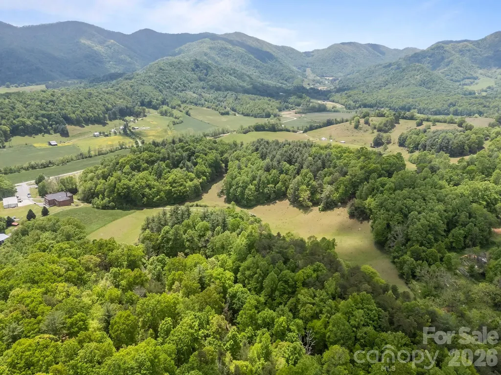 411 Big Sandy Mush Road Leicester NC 28748