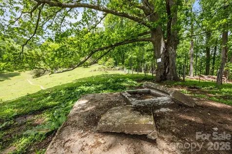 411 Big Sandy Mush Road Leicester NC 28748