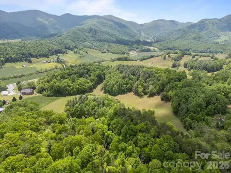 411 Big Sandy Mush Road Leicester NC 28748