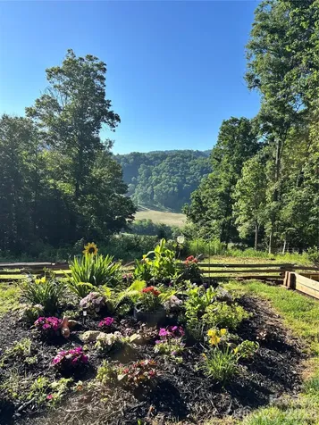 411 Big Sandy Mush Road Leicester NC 28748