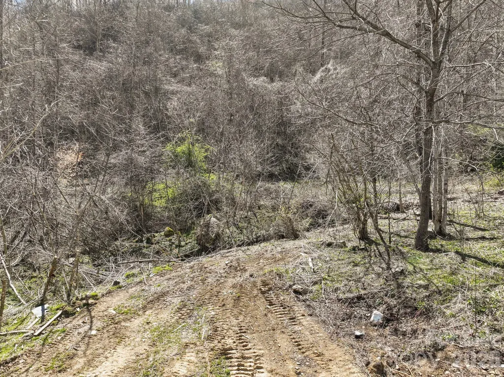 902 Spillcorn Road Marshall NC 28753