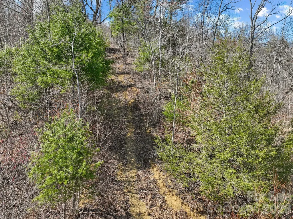 902 Spillcorn Road Marshall NC 28753