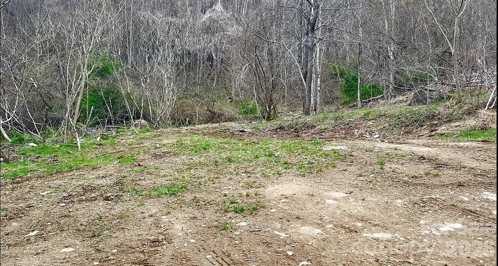 902 Spillcorn Road Marshall NC 28753