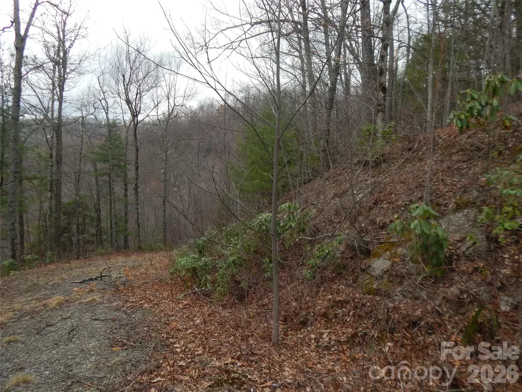 5 Sigogglin Trail Waynesville NC 28785