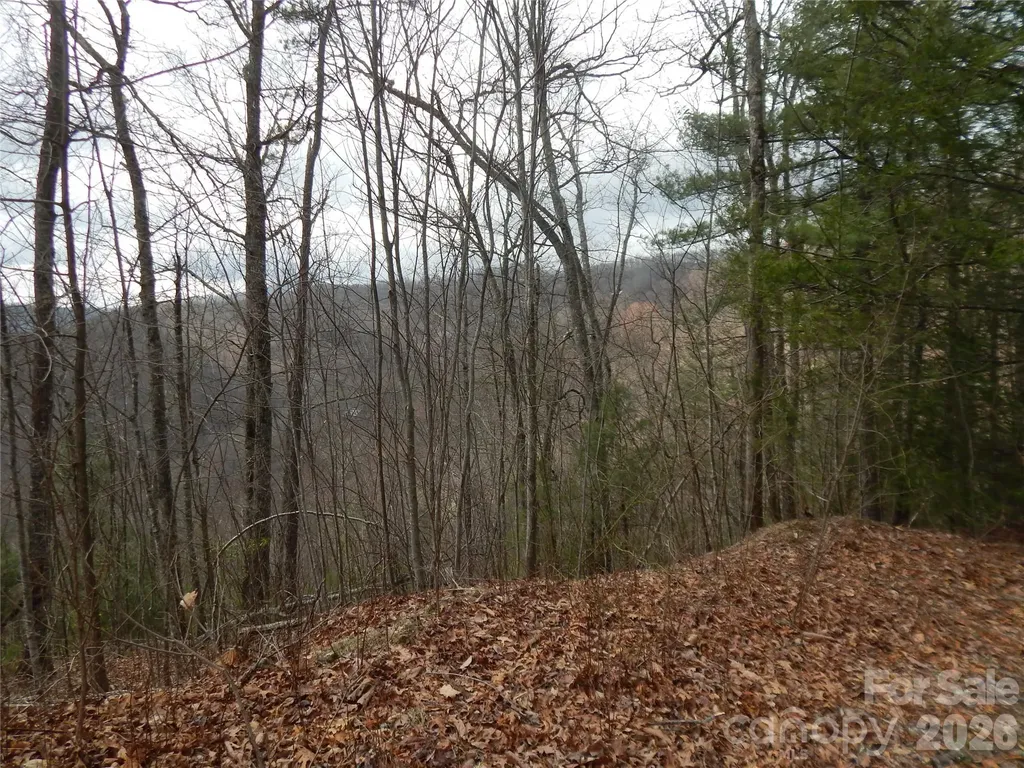 5 Sigogglin Trail Waynesville NC 28785
