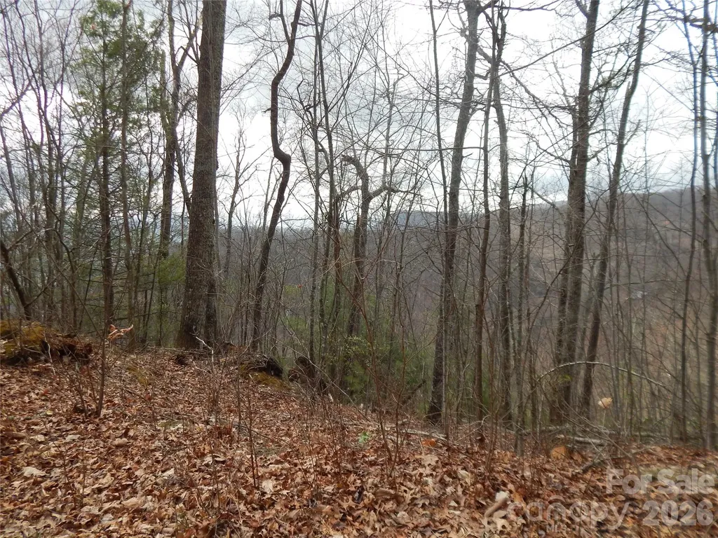5 Sigogglin Trail Waynesville NC 28785