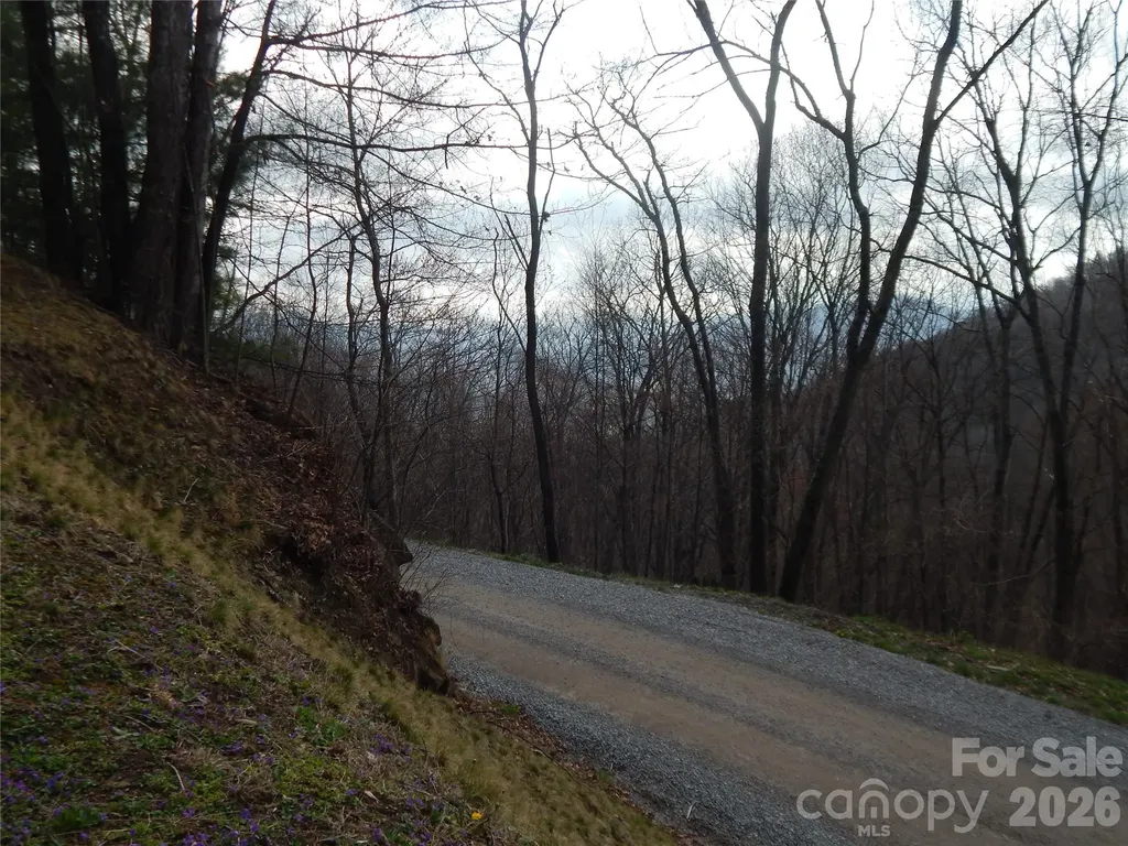 5 Sigogglin Trail Waynesville NC 28785