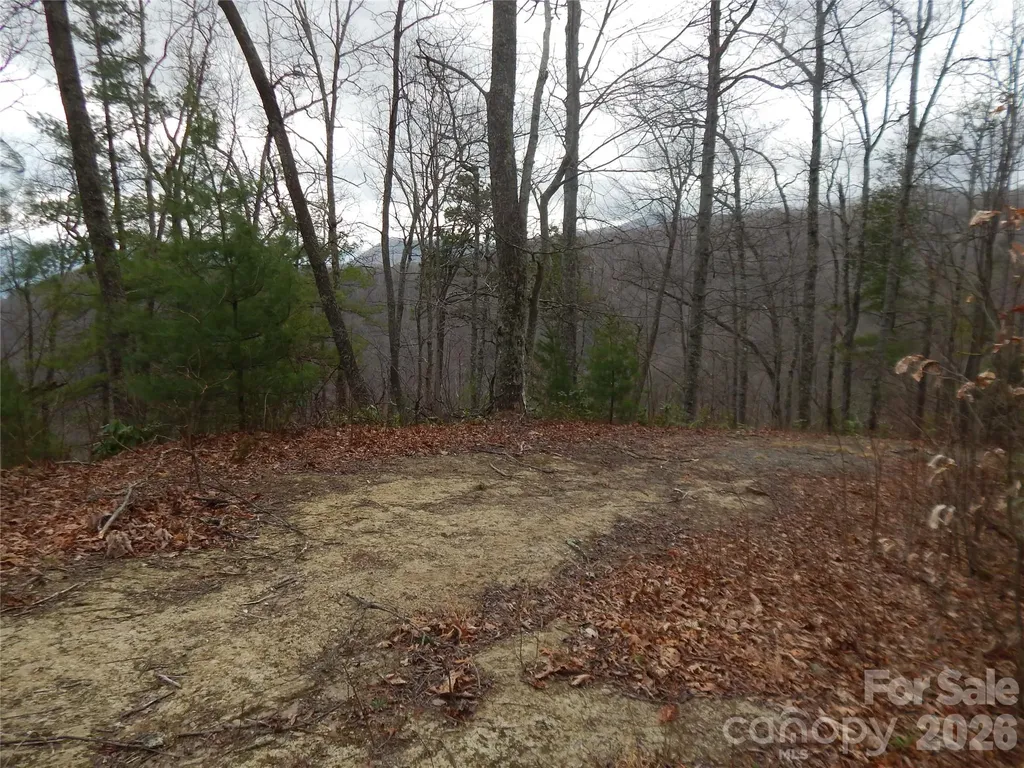 5 Sigogglin Trail Waynesville NC 28785