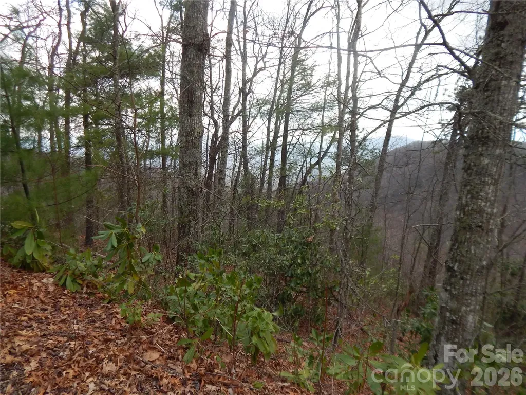 5 Sigogglin Trail Waynesville NC 28785