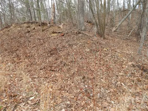 5 Sigogglin Trail Waynesville NC 28785