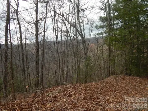 5 Sigogglin Trail Waynesville NC 28785