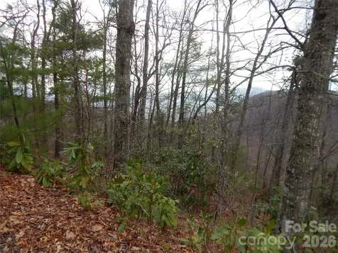 5 Sigogglin Trail Waynesville NC 28785