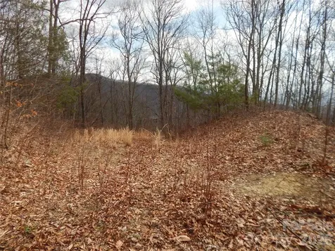 5 Sigogglin Trail Waynesville NC 28785