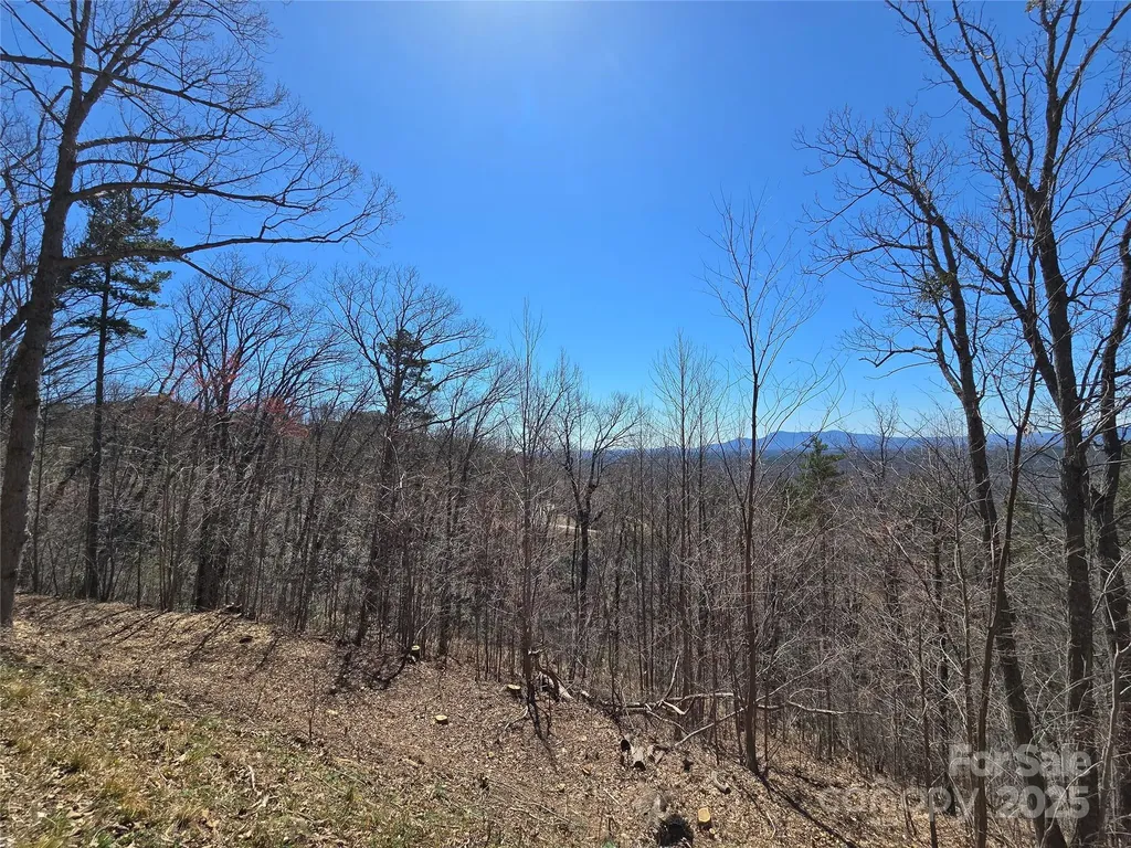 00 Golden Ridge Drive Lake Lure NC 28746