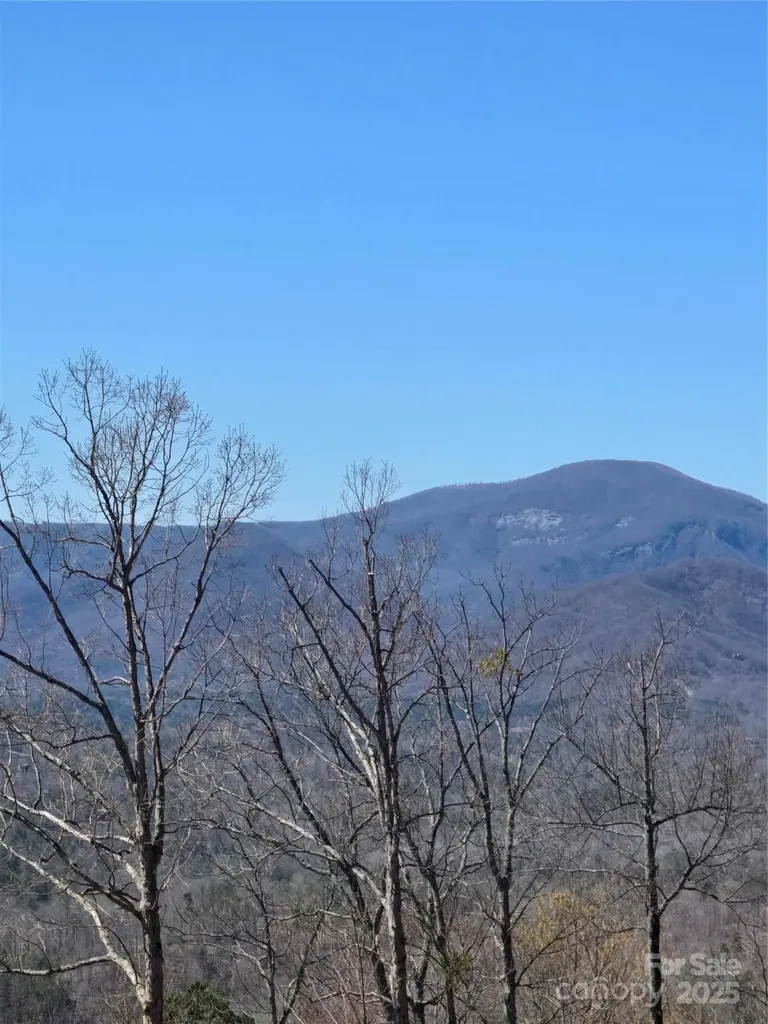 00 Golden Ridge Drive Lake Lure NC 28746