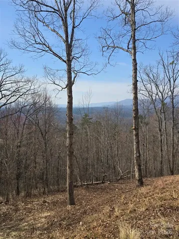 00 Golden Ridge Drive Lake Lure NC 28746