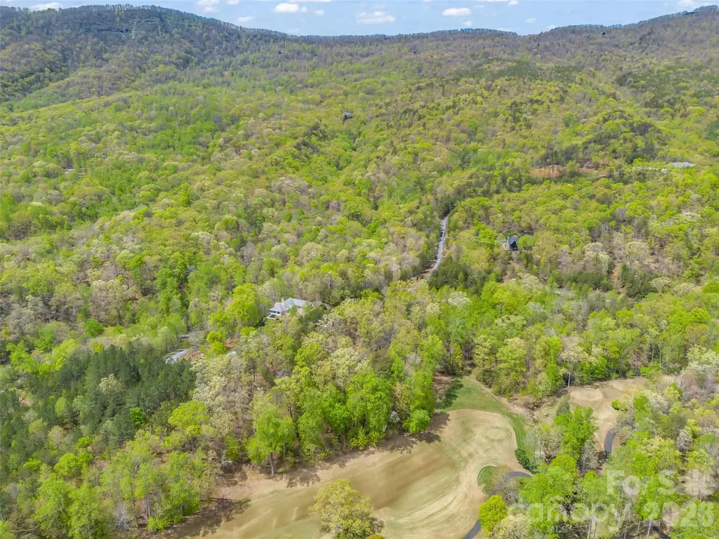 112 Deep Gap Farm Road E Mill Spring NC 28756