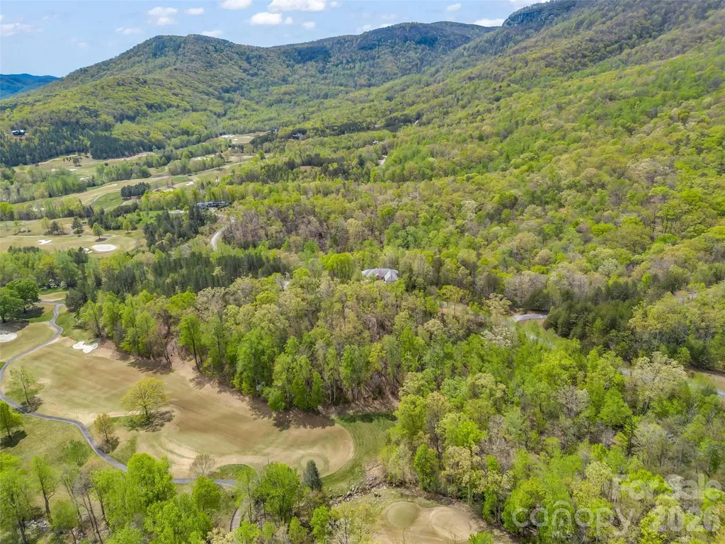 112 Deep Gap Farm Road E Mill Spring NC 28756
