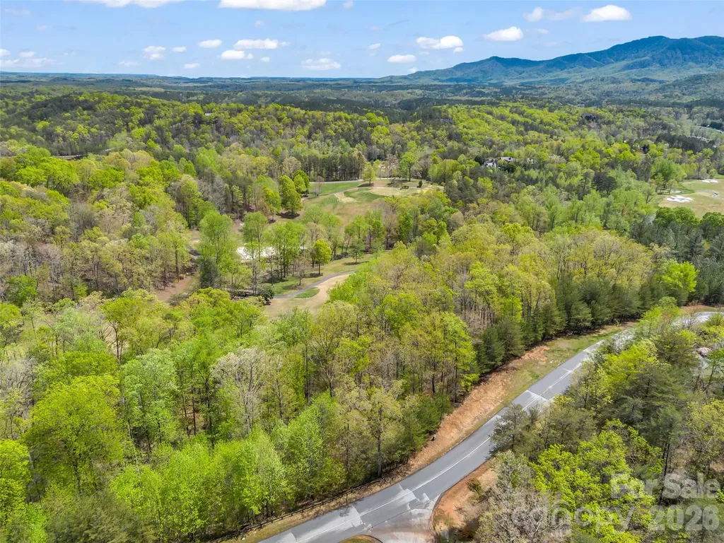 112 Deep Gap Farm Road E Mill Spring NC 28756