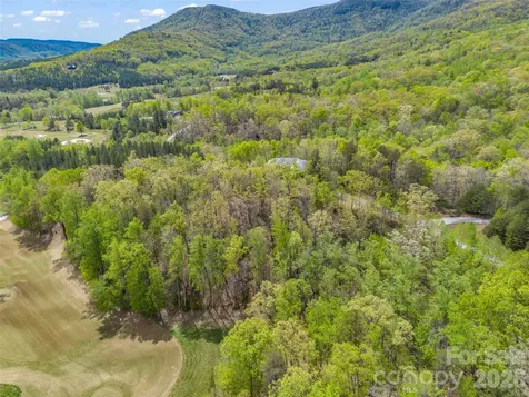 112 Deep Gap Farm Road E Mill Spring NC 28756