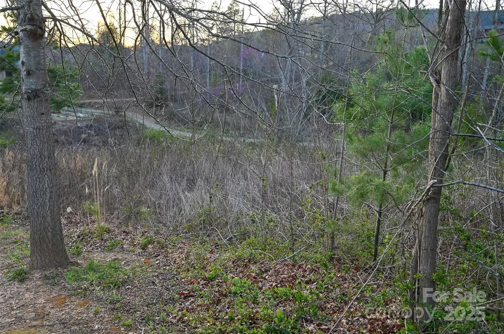 64 French Willow Drive Asheville NC 28804