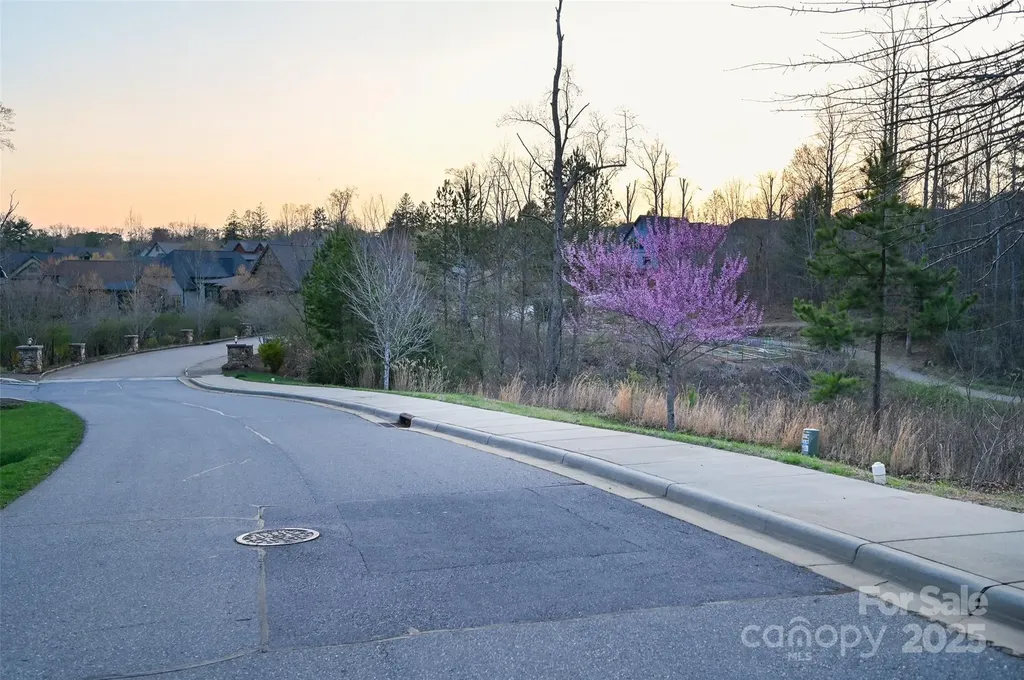 64 French Willow Drive Asheville NC 28804