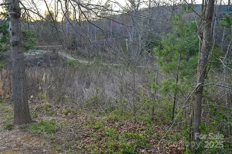 64 French Willow Drive Asheville NC 28804
