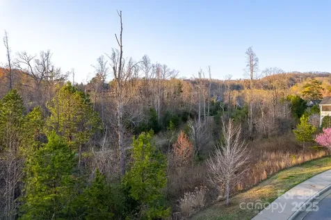64 French Willow Drive Asheville NC 28804