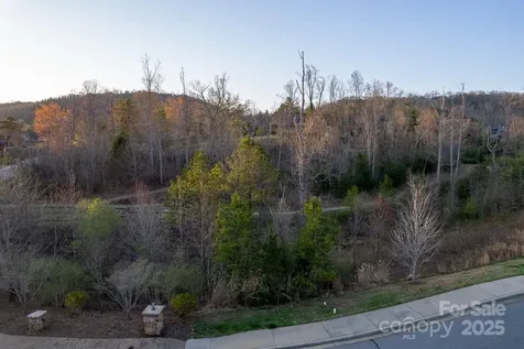 64 French Willow Drive Asheville NC 28804