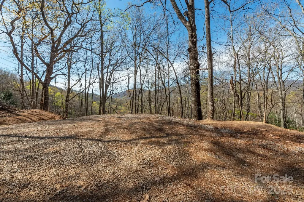 99999 Sunset Drive Black Mountain NC 28711