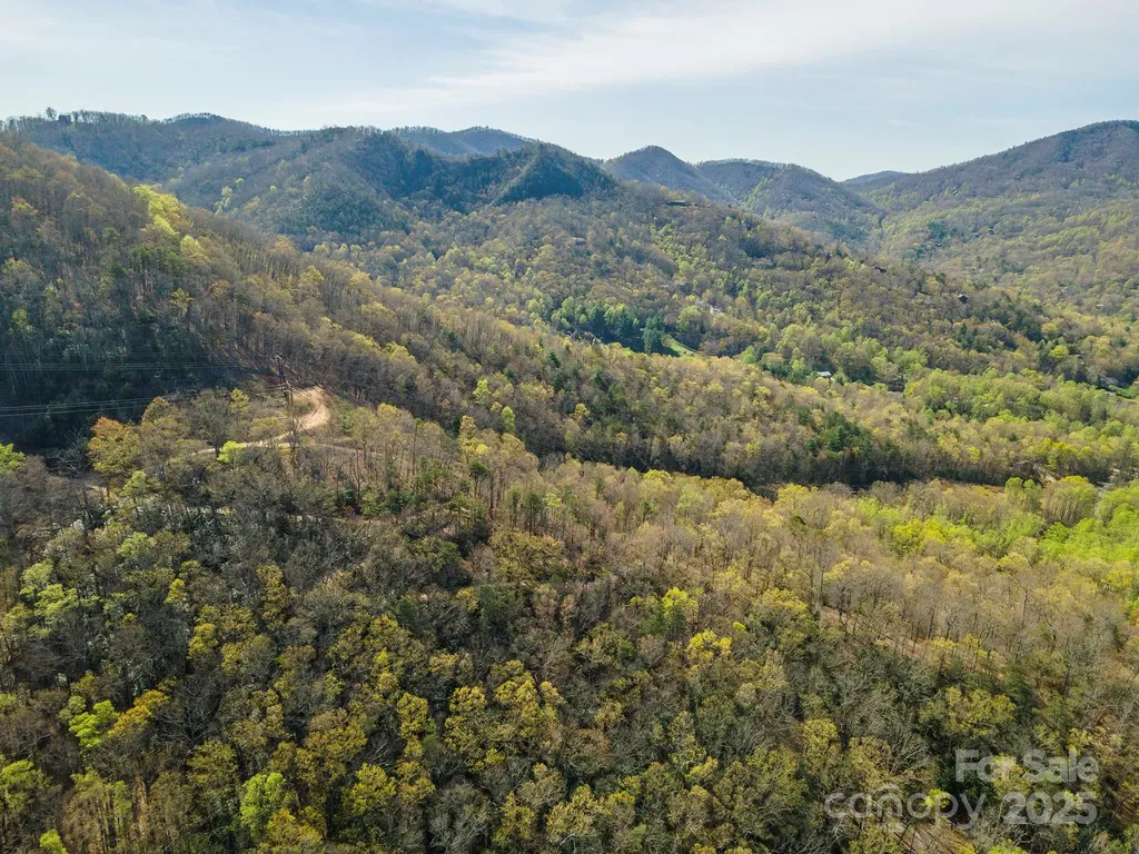 99999 Sunset Drive Black Mountain NC 28711