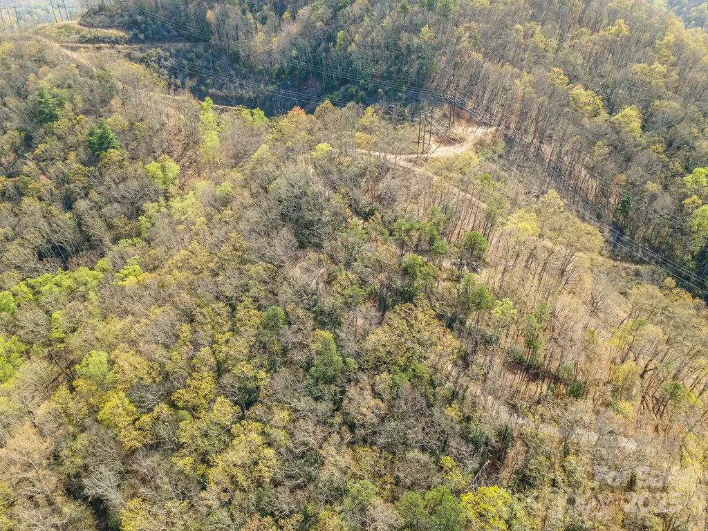 99999 Sunset Drive Black Mountain NC 28711