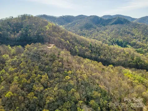 99999 Sunset Drive Black Mountain NC 28711