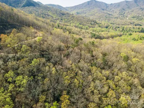 99999 Sunset Drive Black Mountain NC 28711