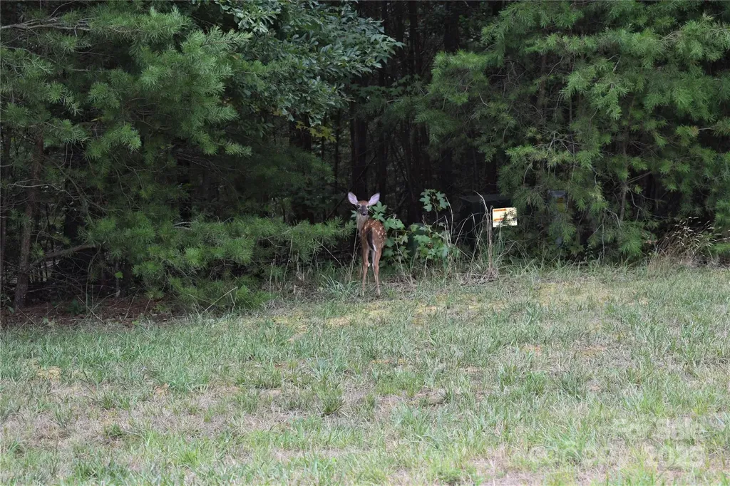 133 Badin View Drive Badin Lake NC 28127