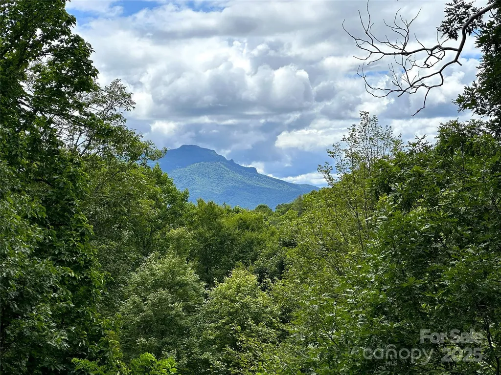 285 Wetherley Boone NC 28607