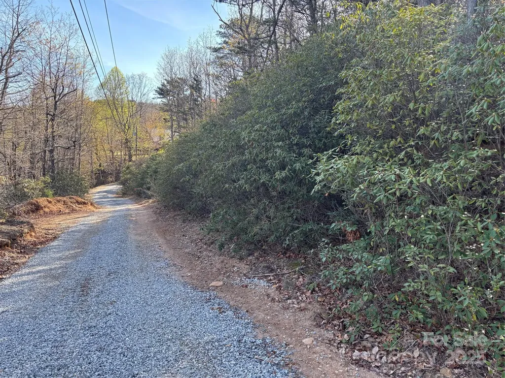 00 Kathy Lake Drive Edneyville NC 28792