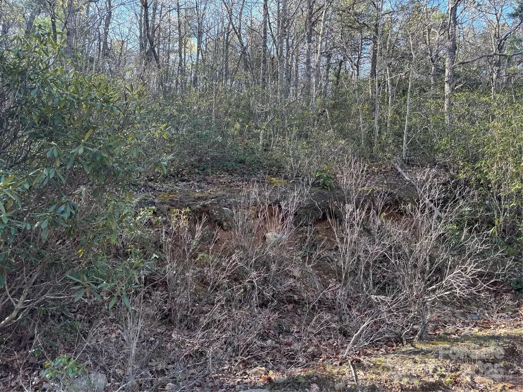 00 Kathy Lake Drive Edneyville NC 28792