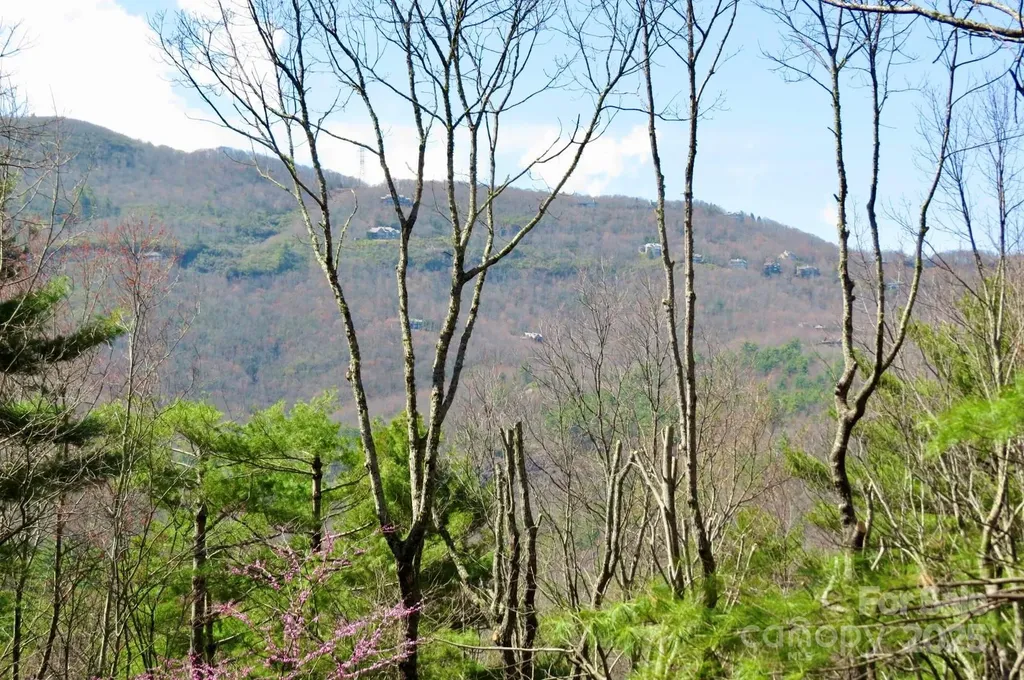 422 Lakeside Drive Lake Toxaway NC 28747