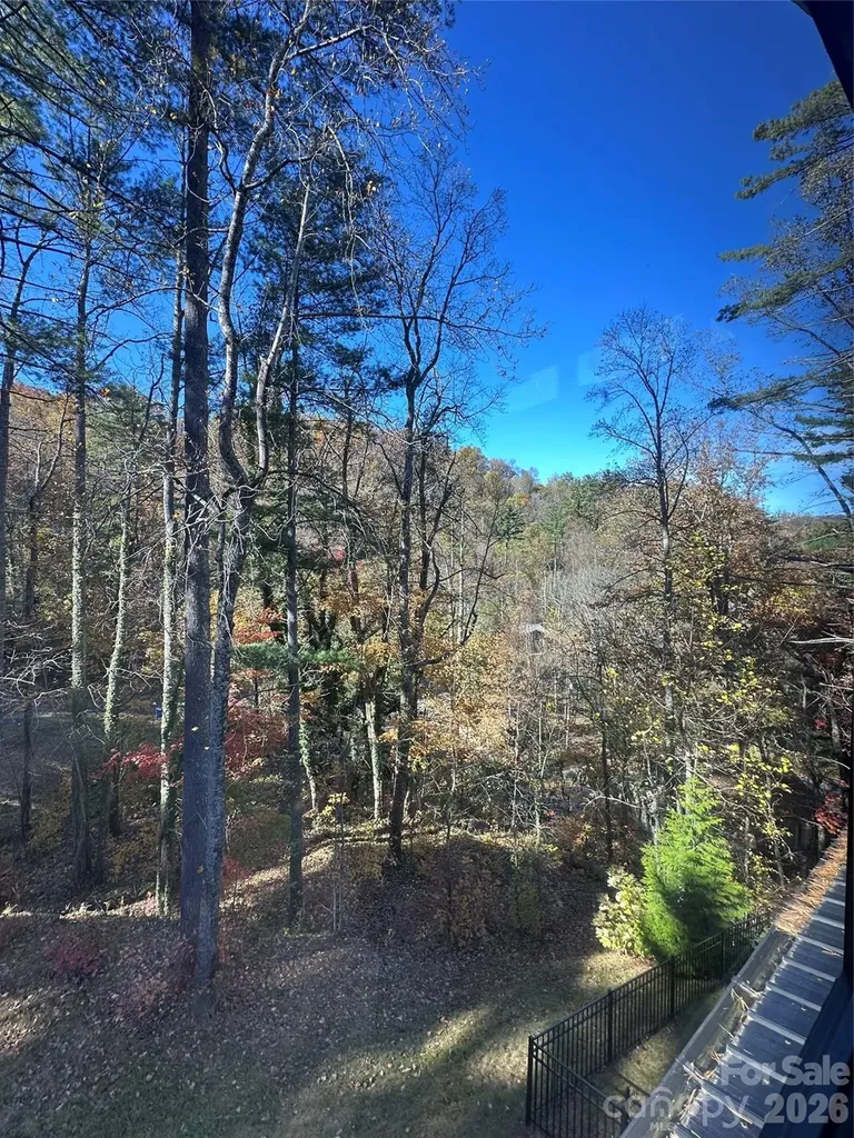 42 Spring Cove Road Asheville NC 28804