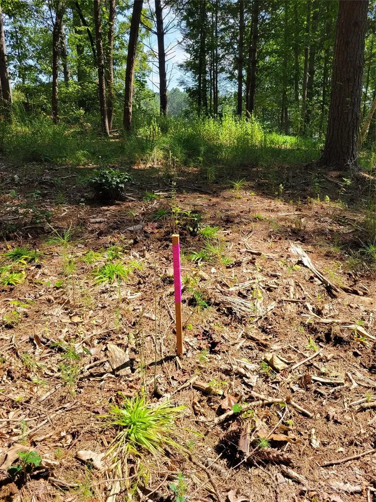 Tba Scenic Lane Granite Falls NC 28630