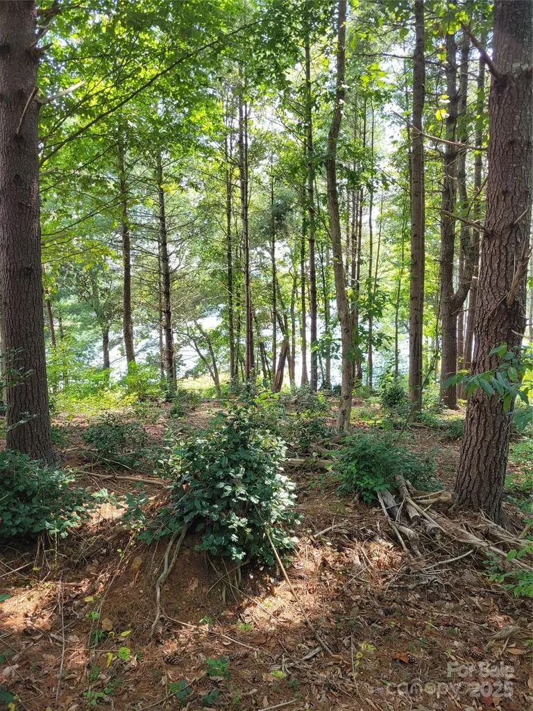 Tba Scenic Lane Granite Falls NC 28630