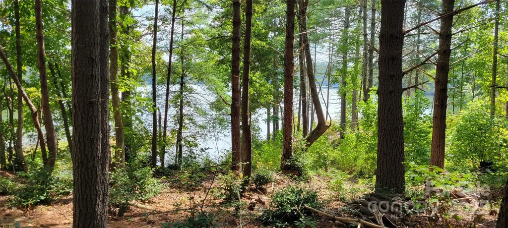 Tba Scenic Lane Granite Falls NC 28630